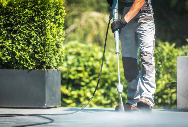 Best Soft Washing  in Green Level, NC